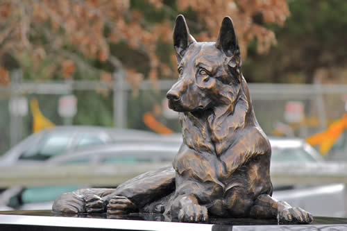 K9 Memorial Unveiling